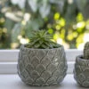 Artichoke Pot - 20cm -Modern Living Shop APCE04 portrait 2 17141.1642004834