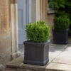 Boxgrove Planter - 35cm 2 Boxgrove Planter - 35cm -Modern Living Shop BGPL01S portrait 1 98877.1638460258