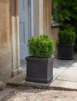 Boxgrove Planter - 35cm
