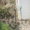 Charlbury Grow Through Plant Support - Small -Modern Living Shop BGPS01 portrait 1 13634.1638460264