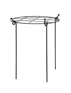 Charlbury Grow Through Plant Support - Large -Modern Living Shop BGPS02 portrait 8 00756.1692956128
