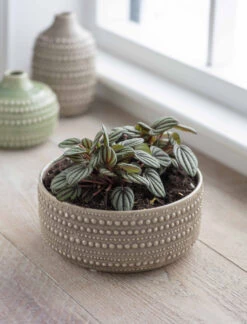 Castello Bowl - 20cm