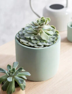 Bamburgh Pot - Aqua - 14.5cm