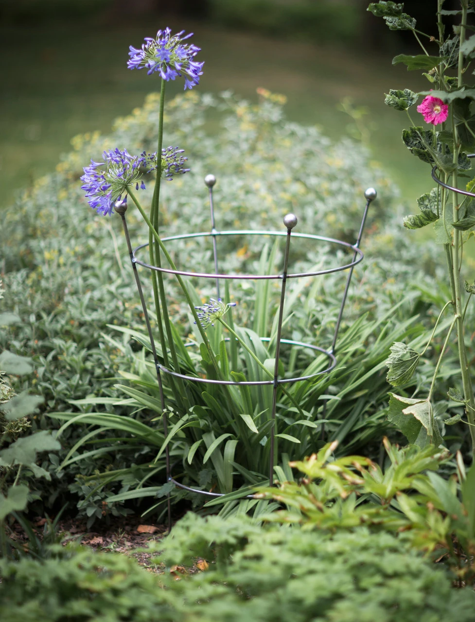 Barrington Flared Plant Support - Large 3 Barrington Flared Plant Support - Large