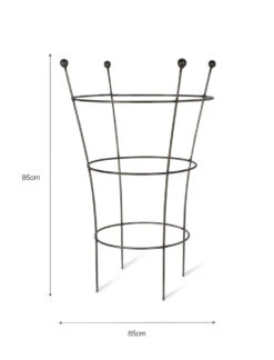 Barrington Flared Plant Support - Large 7 Barrington Flared Plant Support - Large -Modern Living Shop BSME01 portrait 9 66923.1638461561
