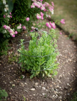 Barrington Domed Plant Support - Small