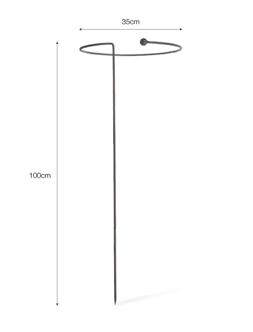 Barrington Full Hoop Plant Support 5 Barrington Full Hoop Plant Support - Image 3