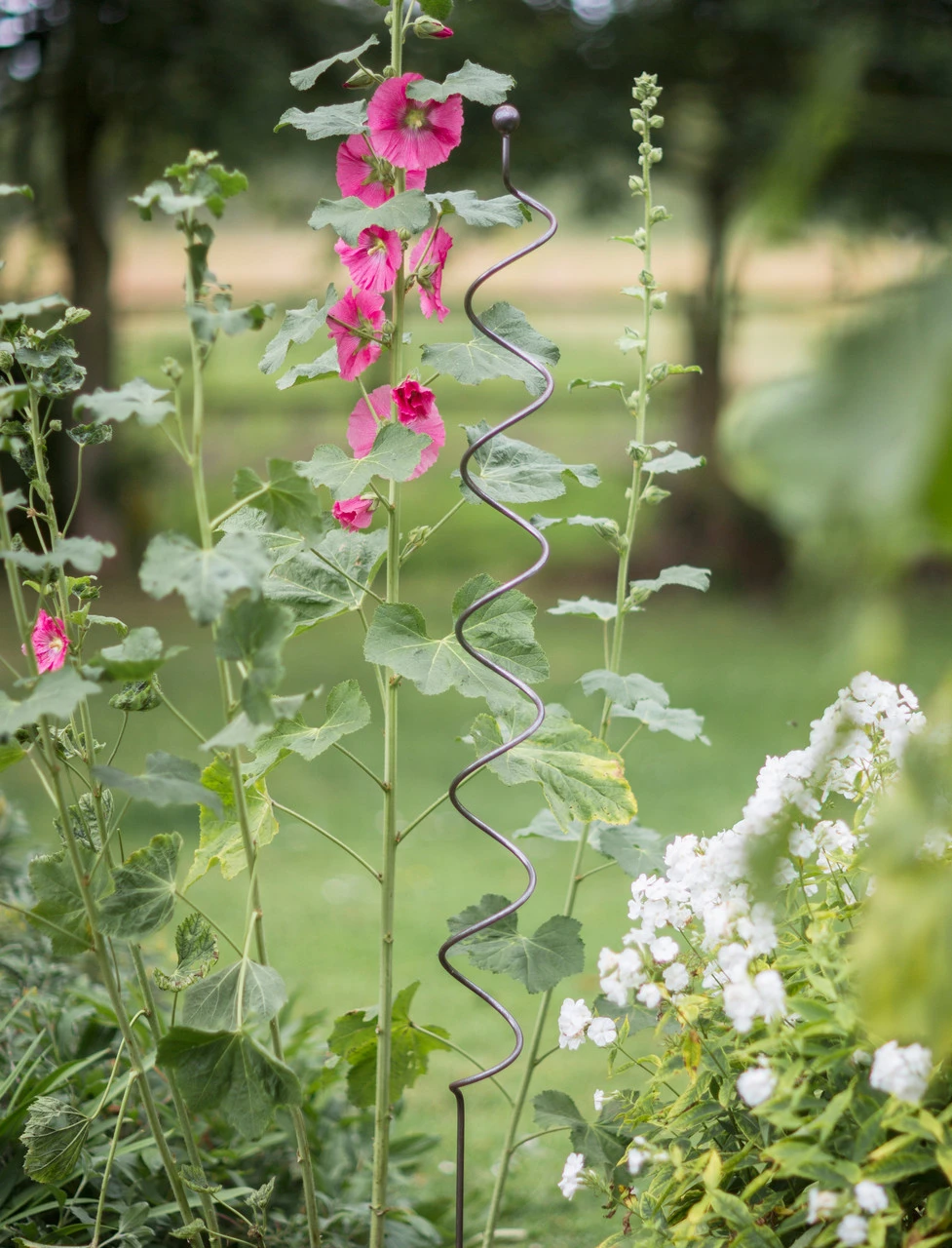 Barrington Spiral Plant Support 3 Barrington Spiral Plant Support