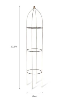 Barrington Obelisk Plant Support - 200cm 13 Barrington Obelisk Plant Support - 200cm -Modern Living Shop BSME12 XL portrait 9 38334.1649937173