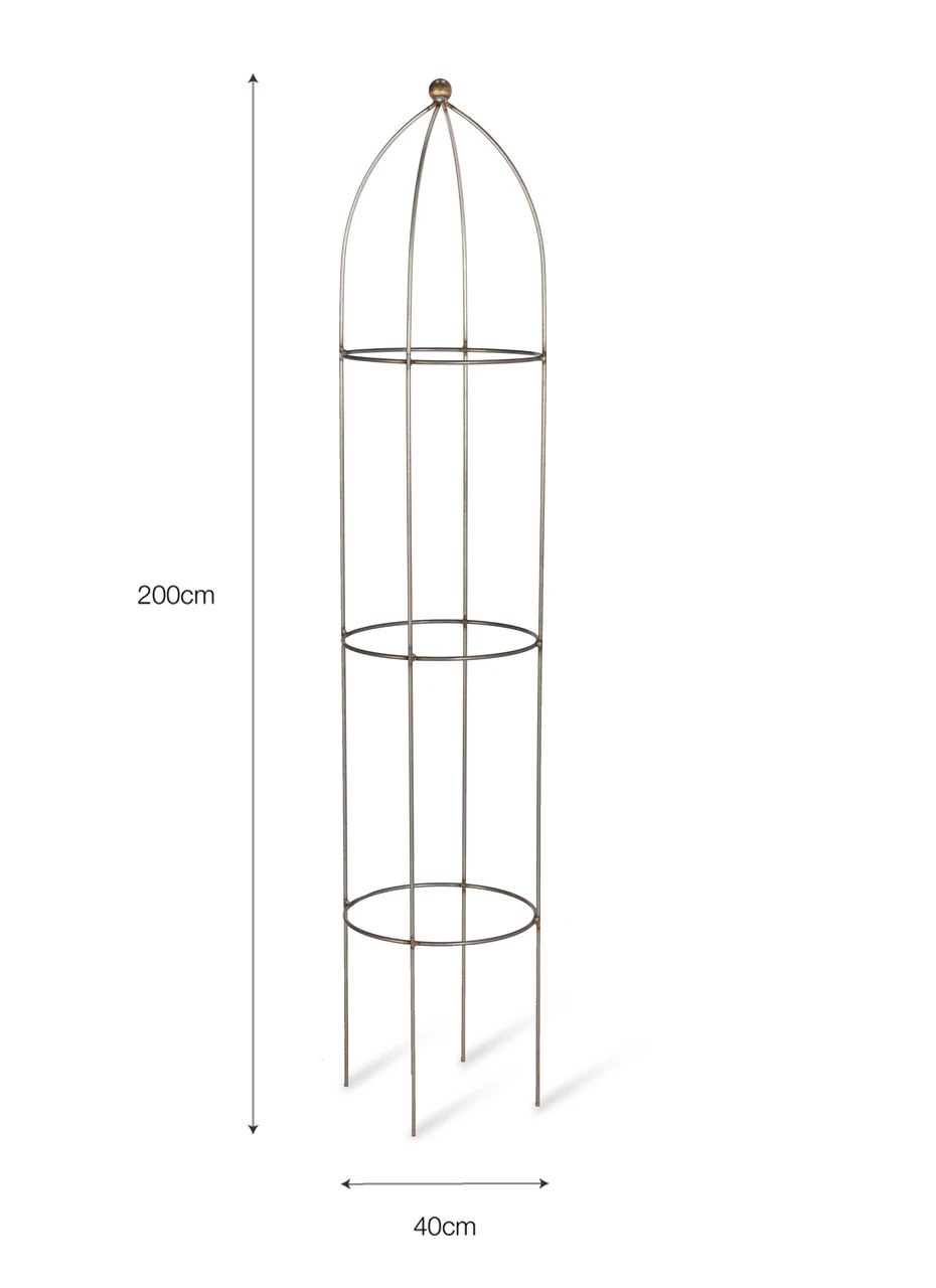 Barrington Obelisk Plant Support - 200cm 8 Barrington Obelisk Plant Support - 200cm - Image 6