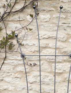 Barrington Honeysuckle Trellis -Modern Living Shop BSME15 portrait 3 28404.1638461613