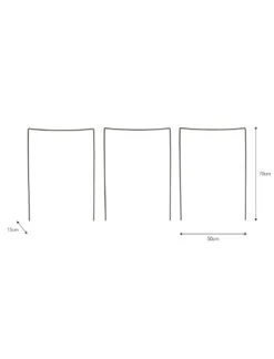 Set Of 3 Charlbury Plant Restraints - Large -Modern Living Shop BTPR02 portrait 9 44817.1638462097