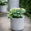 Brockwell Planter In Taupe - 33.5cm -Modern Living Shop BWPL02M portrait 1 07440.1658477539