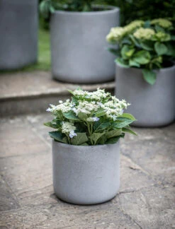 Brockwell Planter In Taupe - 27cm