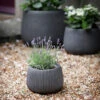Cutsdean Round Planter - Small -Modern Living Shop CDPL02S portrait 1 63423.1658318065