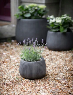 Cutsdean Round Planter - Small