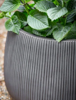 Cutsdean Round Planter - Small -Modern Living Shop CDPL02 portrait 2 92749.1658318066