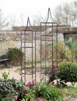 Charlbury Obelisk Plant Support - Set Of 2
