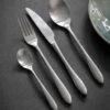 16 Piece Cutlery Set - Silver 1 16 Piece Cutlery Set - Silver -Modern Living Shop CSSS02 portrait 1 80629.1638464609