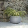 Coates Planter - 39.5cm -Modern Living Shop CTPL01M portrait 1 15676.1638465698