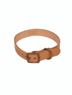 Leafield Dog Collar - Medium -Modern Living Shop DCLE01 portrait 8 56880.1638466884