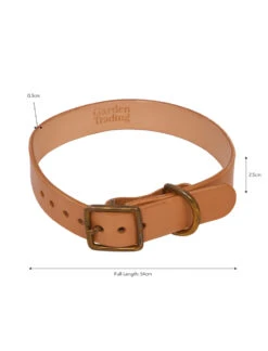 Leafield Dog Collar - Medium -Modern Living Shop DCLE01 portrait 9 86666.1638466885