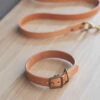 Leafield Dog Collar - Small -Modern Living Shop DCLE02 portrait 1 43071.1638466887