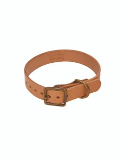 Leafield Dog Collar - Small -Modern Living Shop DCLE02 portrait 8 35463.1638466888