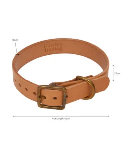 Leafield Dog Collar - Small -Modern Living Shop DCLE02 portrait 9 94636.1638466889