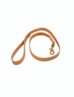 Leafield Dog Lead -Modern Living Shop DCLE04 portrait 8 57304.1638536412