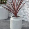 Draycott Planter - Small - Limestone