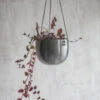 Farringdon Hanging Plant Pot - 15cm 2 Farringdon Hanging Plant Pot - 15cm -Modern Living Shop FPAP02 portrait 1 99073.1638542413