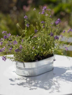 Farmington Trough - Small