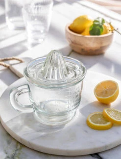 Glass Juicer & Jug
