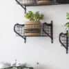 Wirework Basket Shelf - Black - Small -Modern Living Shop HBBL01 portrait 1 45800.1638543662