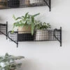 Wirework Basket Shelf - Black - Medium -Modern Living Shop HBBL02 portrait 1 98082.1638543666