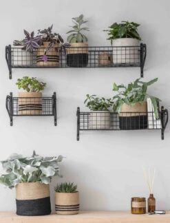 Wirework Basket Shelf - Black - Medium 7 Wirework Basket Shelf - Black - Medium -Modern Living Shop HBBL02 portrait 2 12786.1638543667