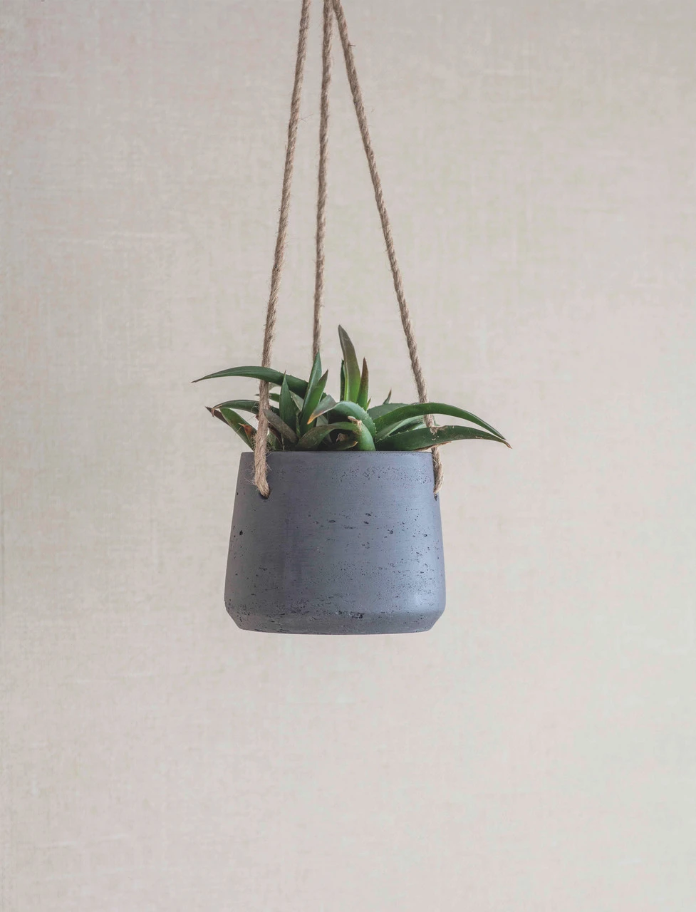 Stratton Hanging Pot - Small - Carbon 3 Stratton Hanging Pot - Small - Carbon