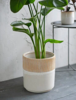 Hillesley Pot - Ivory - 28cm