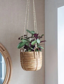 Mayfield Hanging Plant Pot
