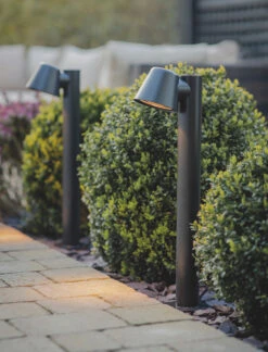 Regent Mast Path Light