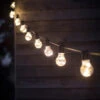Festoon Classic Lights - Black - 10 Bulbs