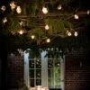 Festoon Classic Lights - Black - 20 Bulbs