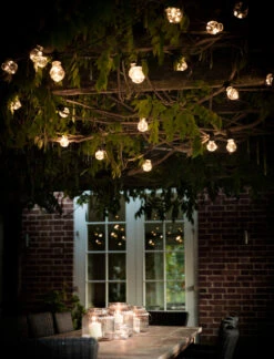 Festoon Classic Lights - Black - 20 Bulbs
