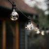 Festoon Classic Lights - Smoked - 10 Bulbs -Modern Living Shop LAFE16 Portrait 1 26809.1651835714