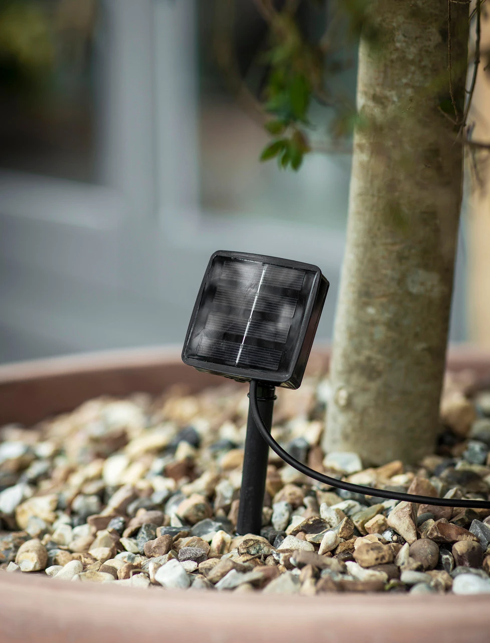 Solar Festoon Classic Lights - Smoked - 10 Bulbs 4 Solar Festoon Classic Lights - Smoked - 10 Bulbs - Image 2