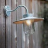 St Ives Swan Neck Light - Silver