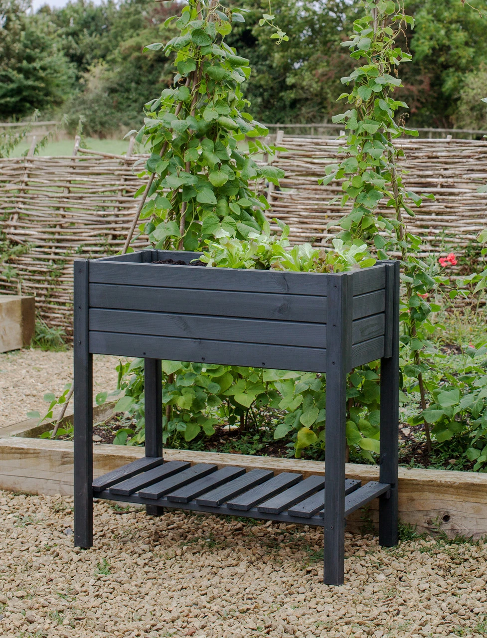 Latchmere Raised Planter 3 Latchmere Raised Planter