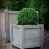 Square Wooden Planter - 40cm 1 Square Wooden Planter - 40cm -Modern Living Shop PLAW01 portrait 1 50281.1638477189