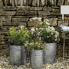 Set Of 3 Galvanised Steel Planters 1 Set Of 3 Galvanised Steel Planters -Modern Living Shop PLGA01 portrait 1 90148.1638477256
